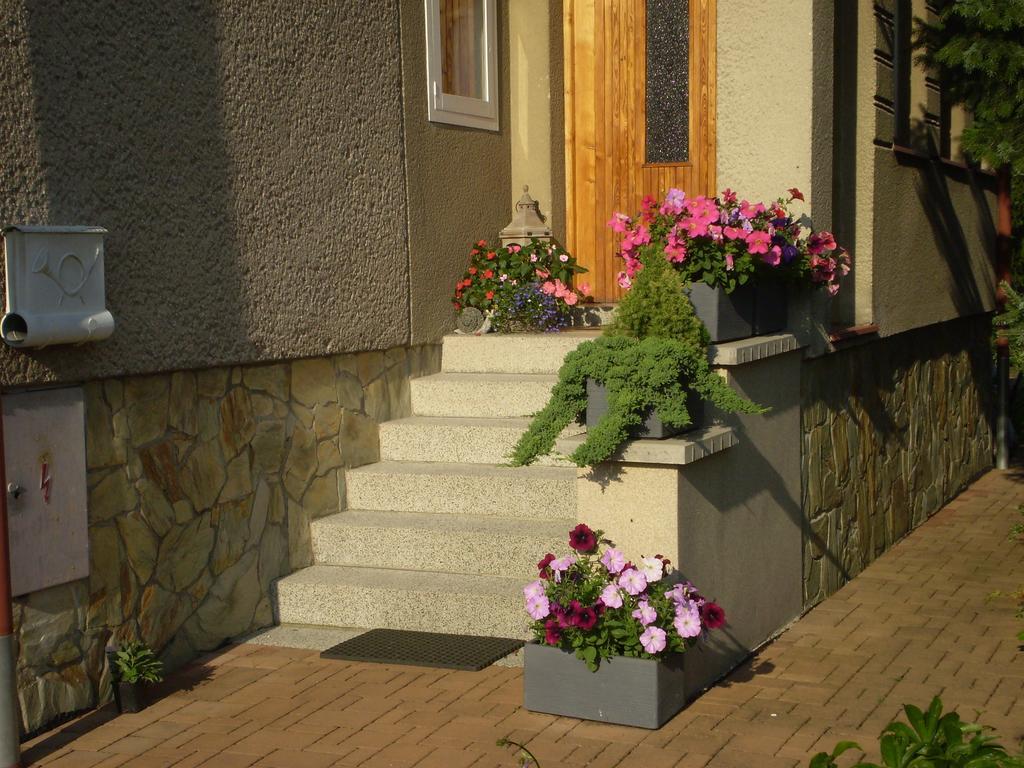 Apartman Pro 4 Osoby Czeska Skalica Zewnętrze zdjęcie